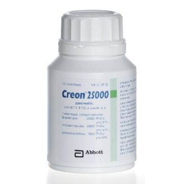 CREON 25 000 enterokaps, kova 100 kpl