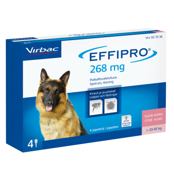 EFFIPRO SUURILLE KOIRILLE 100 mg/ml vet paikallisvaleluliuos (20-40 kg)4x2,68 ml