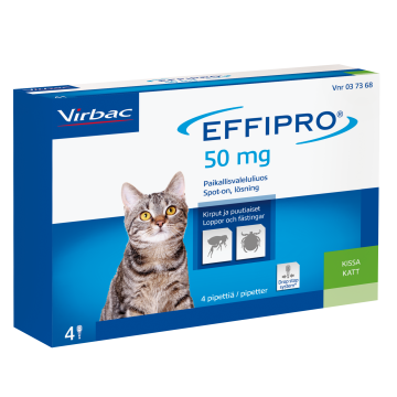 EFFIPRO KISSOILLE 100 mg/ml vet paikallisvaleluliuos 4x0,5 ml