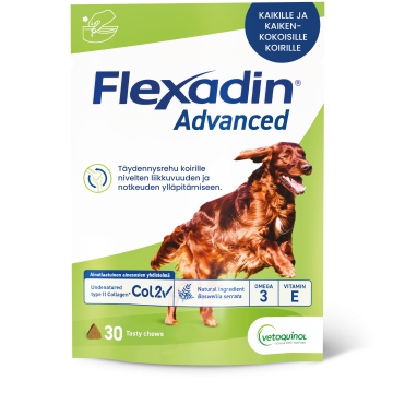 Flexadin advanced purutabl 30 kpl